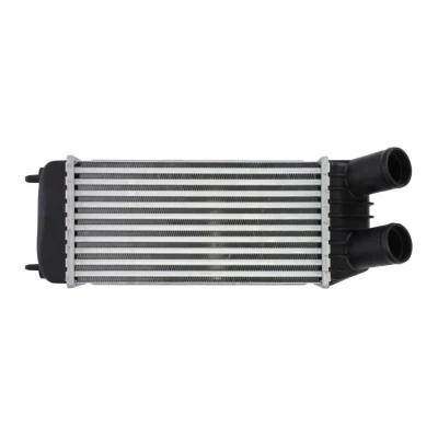 Abbildung von THERMOTEC DAP006TT Ladeluftkühler CITROËN: Jumpy II MPV, Kastenwagen, FIAT: Scudo II, PEUGEOT: Expert Tepee
