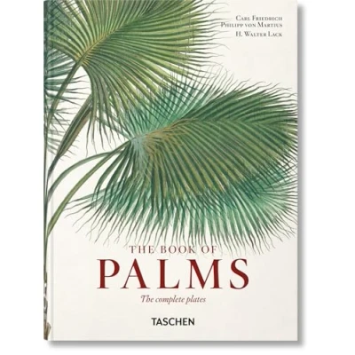Abbildung von Martius. El libro de las palmeras. 40th Ed.