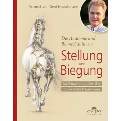 Abbildung von Die Anatomie und Biomechanik von Stellung Biegung: Meilensteine auf dem Weg zur korrekten Versammlung