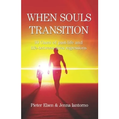 Abbildung von When souls transition: 30 Cases of past life and between lives regressions