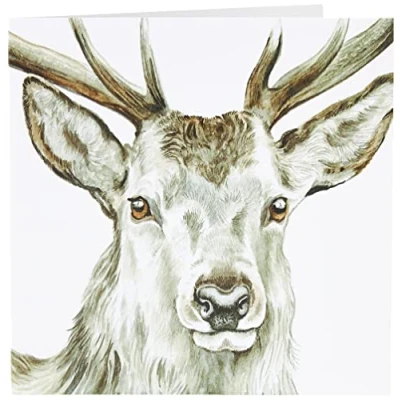 Abbildung von Maturi Blanko Grußkarte mit Aquarellbild Hirsch
