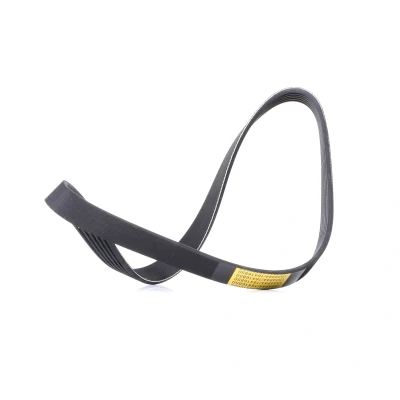 Abbildung von RIDEX 305P0520 Keilrippenriemen 805 6 FORD: Focus 2 Kombi, FIESTA 6, Schrägheck, CITROËN: C3 Picasso, C4 I Berlingo II