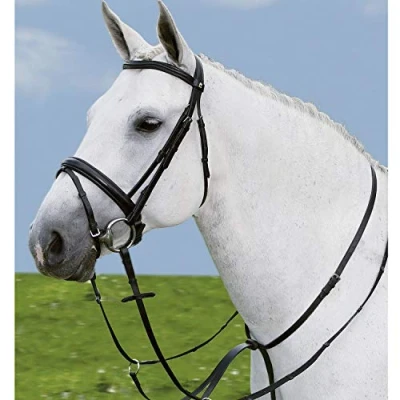 Abbildung von Star Martingal Schwarz Warmblut