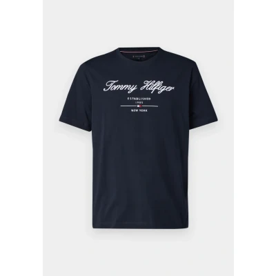 Abbildung von Tommy Hilfiger Script LOGO TEE Tshirt print, Herren, Größe: Small, Desert sky