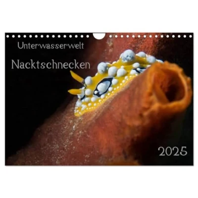 Abbildung von Unterwasserwelt Nacktschnecken (Wandkalender 2025 DIN A4 quer), CALVENDO Monatskalender