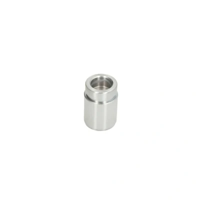 Abbildung von AUTOFREN SEINSA D025652 Kolben, Bremssattel 32 Hinterachse NBK MAZDA: MX 5 I, 2