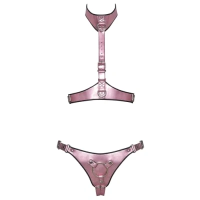 Abbildung von 2 teiliges Harness Set