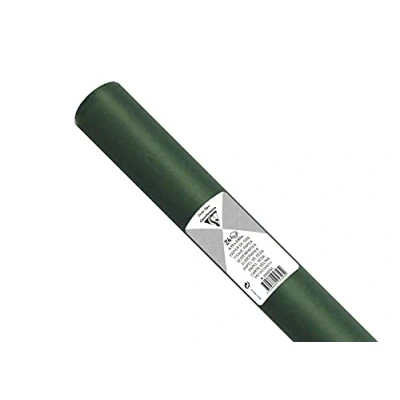 Abbildung von Clairefontaine 394074C Packung mit 24 Blatt Seidenpapier, 50 x 75cm, 18g, ideal zum Basteln, 1 Pack Dunkelgrün