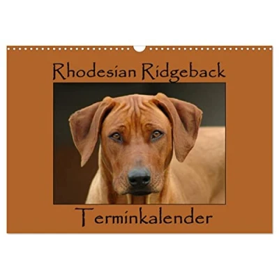 Abbildung von Rhodesian Ridgeback Terminkalender (Wandkalender 2025 DIN A3 quer), CALVENDO Monatskalender