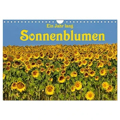 Abbildung von Ein Jahr lang Sonnenblumen (Wandkalender 2025 DIN A4 quer), CALVENDO Monatskalender