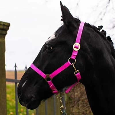 Abbildung von Halfter für Pferd Warmblut, Vollblut, Kaltblut Stallhalfter, Weidehalfter, 2 Fach verstellbar an Kinnriemen und Genickstück, sicher &amp; reißfest (Pink, Shetland Pony (Shetty))