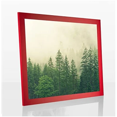 Abbildung von Monaldo Deluxe Bilderrahmen Posterrahmen 91 x 61 cm Rot Knallrot Ferrarirot Wechselrahmen weisser Hintergrund Antireflex Kunstglas