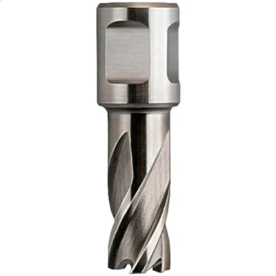 Abbildung von Fein HSS Nova Kernbohrer mit Weldon Aufnahme, Ø 12 mm, L: 25 mm