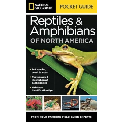 Abbildung von National Geographic Pocket Guide to Reptiles and Amphibians of North America