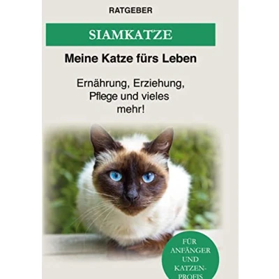Abbildung von Siam Katze: Siamkatze Ernährung, Erziehung, Pflege und vieles mehr!
