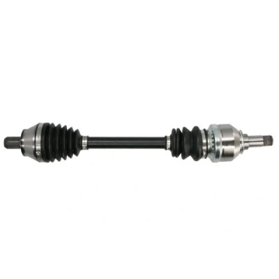 Abbildung von Antriebswelle PASCAL G2M012PC