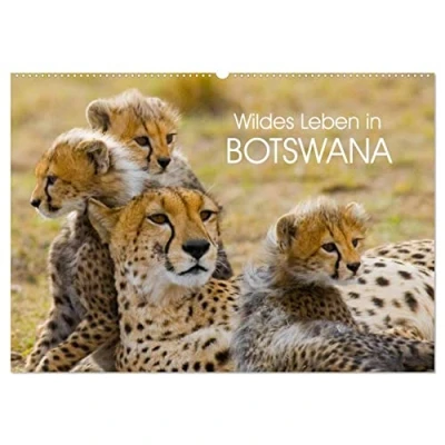 Abbildung von Wildes Leben in Botswana (Wandkalender 2025 DIN A2 quer), CALVENDO Monatskalender