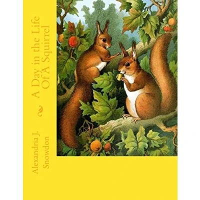 Abbildung von A Day in the Life Of Squirrel