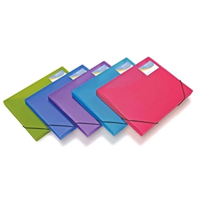 Abbildung von Rapesco 0804 25mm Ordnungsboxen, A4+, leuchtende Transparente Farben, 5 Stück