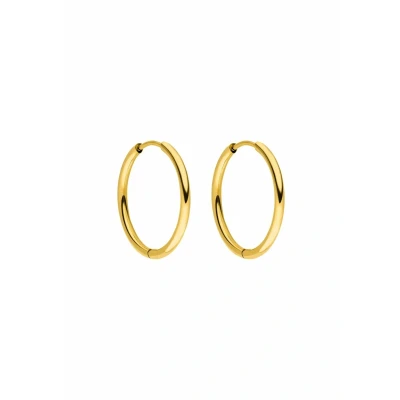 Abbildung von Purelei Sleeky Ohrringe, Damen, Größe: One Size, Goldfarben