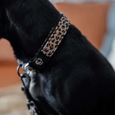 Abbildung von Kentucky Kragen Leopard Grau 42 68cm