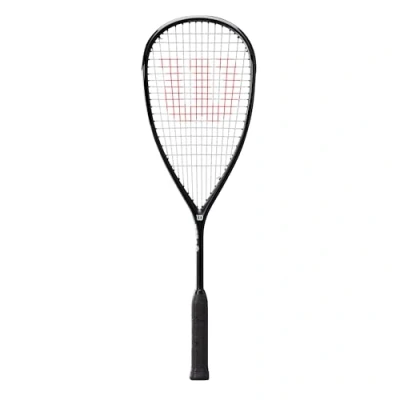 Abbildung von Squashschläger Wilson Pro Staff Team