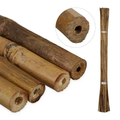 Abbildung von Relaxdays Pflanzstäbe Bambus, 40er Set, 105 cm, Rankhilfe für Pflanzen, Deko, Bambusstäbe, Rankstäbe Garten, Natur
