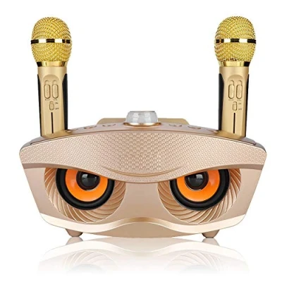 Abbildung von Bewinner Wireless Mikrofon Karaoke Tragbarer Lautsprecher für Heimparty/KTV Handheld Bluetooth KTV mit Zwei Mikrofonen die Familie