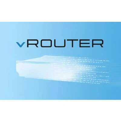 Abbildung von LANCOM Systems vRouter 50 10 Sites 8 ARF 5J Lizenz EMail Vers.