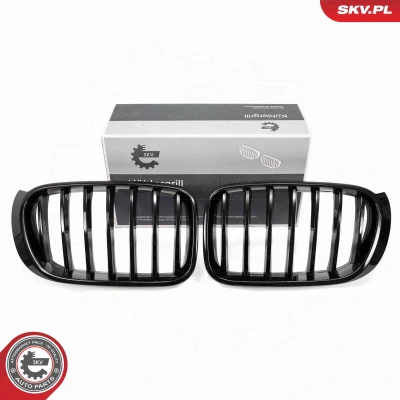 Abbildung von ESEN SKV 66SKV254 Kühlergrill schwarz, glänzend BMW: X3, X4