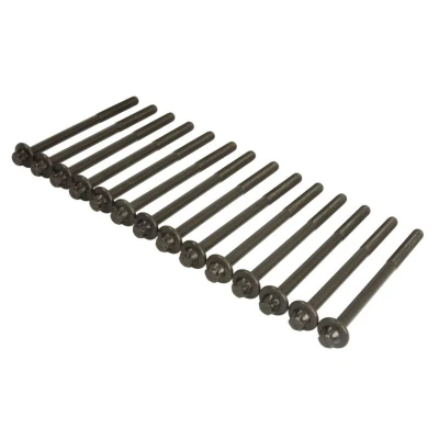 Abbildung von ELRING 469.830 Zylinderkopfschraubensatz Außen Torx BMW: 5 Touring, Limousine, X5