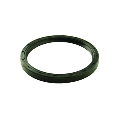 Abbildung von Ford Racing M 6701 B302 Hauptdichtung hinten für 5,0 l Motor
