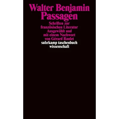 Abbildung von Passagen: Schriften zur französischen Literatur (suhrkamp taschenbuch wissenschaft)