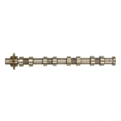 Abbildung von AMC 647253 Nockenwelle Auslassseite PEUGEOT: 3008 I, 307 Schrägheck, 5008 FORD: Focus C Max, CITROËN: C4 Picasso 1