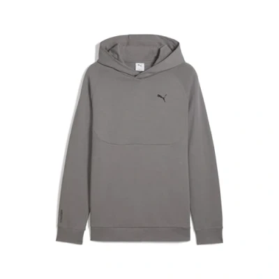 Abbildung von Puma Kapuzenpullover, Herren, Größe: Medium, Cast iron