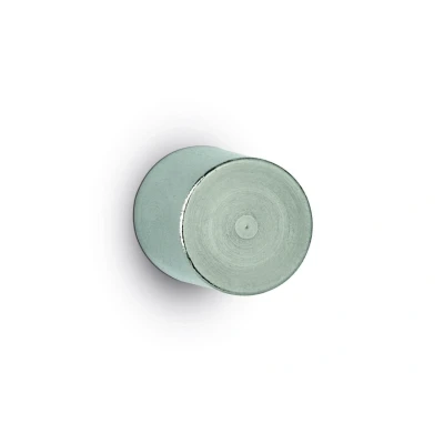 Abbildung von MAUL Magnete Ø 2,0 x 2,5 silber