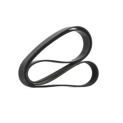 Abbildung von RIDEX PLUS 305P0408P Keilrippenriemen 1685 7 RENAULT: MASTER 3 Kasten, MEGANE Grandtour, SCENIC 3, NISSAN: Qashqai / Qashqai+2 I, 2, X Trail