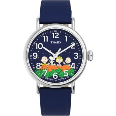 Abbildung von Timex Watch TW2W72700