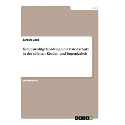 Abbildung von Kindeswohlgefährdung und Datenschutz in der offenen Kinder Jugendarbeit