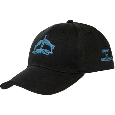Abbildung von Veredus Cap Logo Hellblau One Size