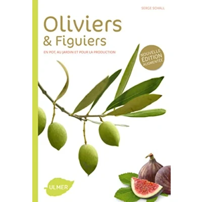 Abbildung von Oliviers et figuiers (NE). en pot, jardin pour la production: Comment les choisir cultiver facilement