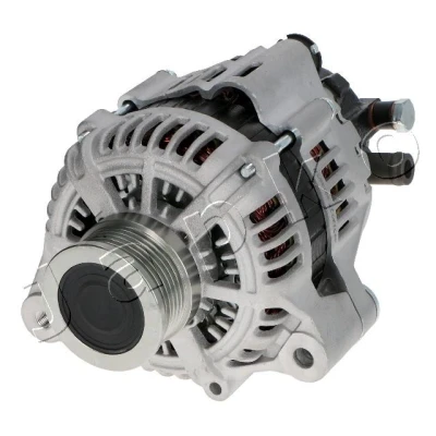 Abbildung von Generator JAPKO 2C979