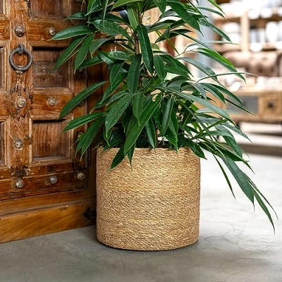 Abbildung von DARO DEKO Seegras Korb rund Natur Ø 19 x 17 mit Einsatz Blumentopf geflochten Aufbewahrungskorb Über Topf Blumenkorb