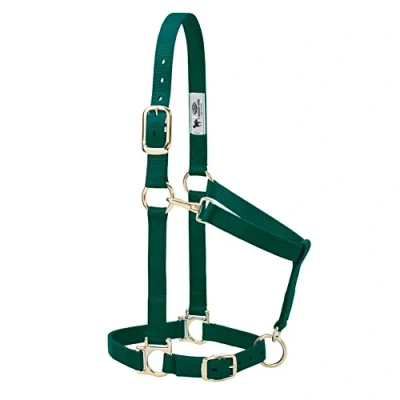 Abbildung von Weaver Leather Basic Adjustable Nylon Halter, Hunter Green, 1&quot; Average Horse