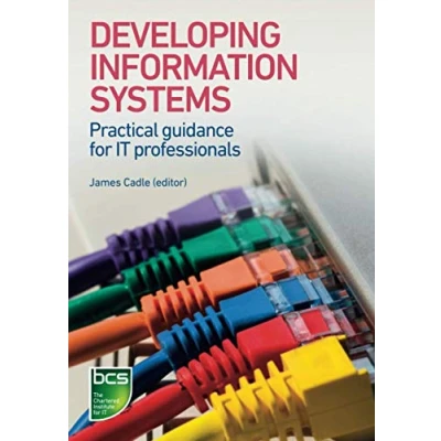 Abbildung von Developing Information Systems: Practical guidance for IT professionals