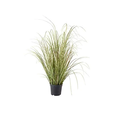 Abbildung von Klocke Kunstpflanzen Dekogras im Topf Künstlich &amp; Naturgetreu Medium: 70cm Hochwertiges Gras/Grasbüschel/Grasbusch/Grasbündel/Ziegras/Ufergras/Kunstgras getopft