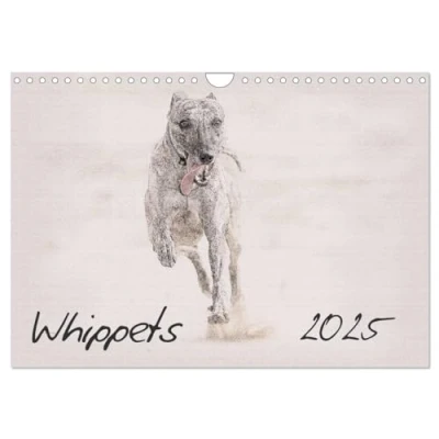 Abbildung von Whippets 2025 (Wandkalender DIN A4 quer), CALVENDO Monatskalender