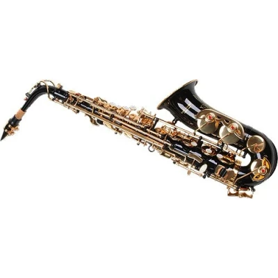 Abbildung von Karl Glaser Alt Saxophon Messing Instrument in schwarz/gold Im passenden Set mit Reinigungstuch &amp; Pflegeset Ideal für Einsteiger