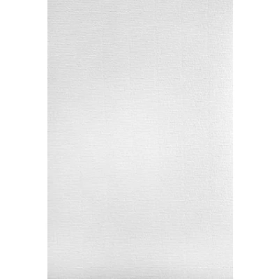 Abbildung von Netuno 50x Weiß Bastelpapier gerippt mit Wasserzeichen DIN A4 297x 210mm 120g Aster Laid White Briefpapier Effektpapier feiner Rippung Ausstattungspapier Designpapier Urkundenpapier Motivpapier