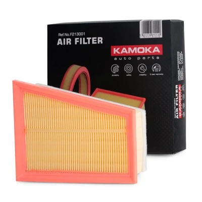 Abbildung von Luftfilter KAMOKA F202101